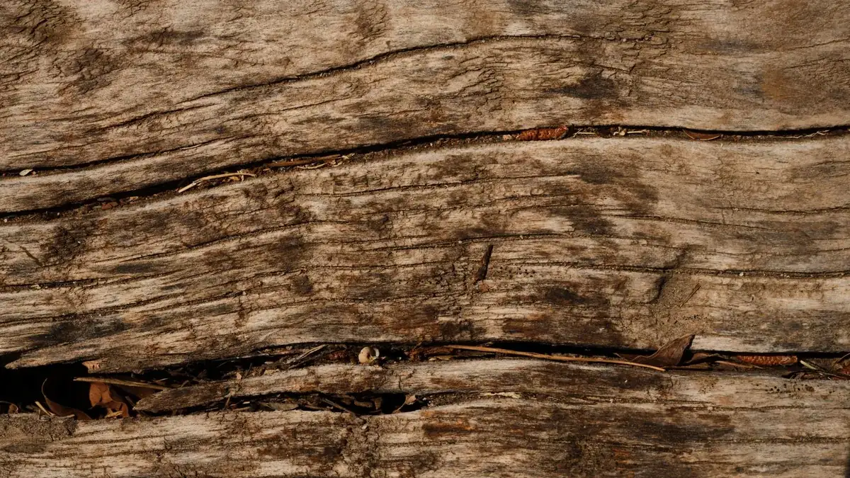 Detalle de una superficie de madera envejecida, con grietas y marcas de desgaste visibles en la veta.